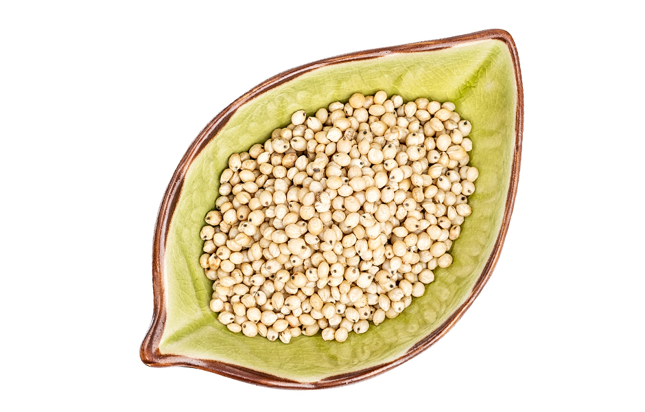 Sorghum Seeds